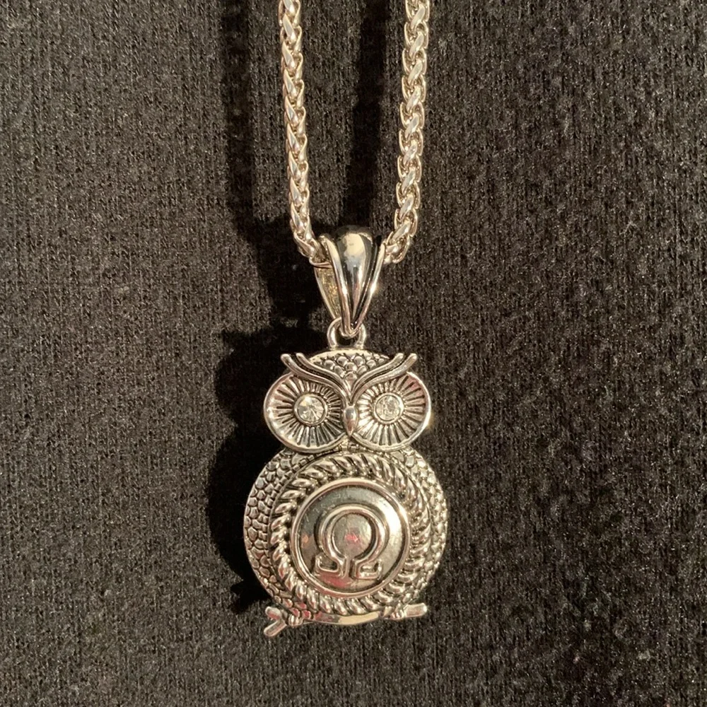 Owl Pendant Necklace with 9” Silver Chain EUC - Picture 1 of 6